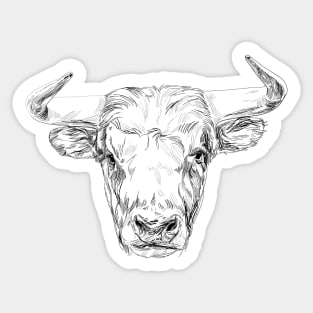 Bull illustration Sticker